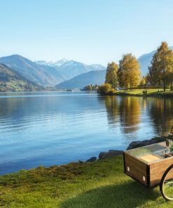 «Picknick Fahrrad mit Grill Einsätze» M